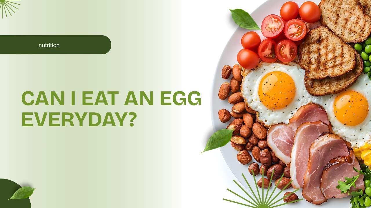 Is an Egg a Day Safe?