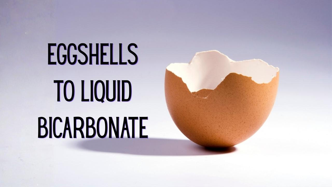 Egg shells into liquid calcium
